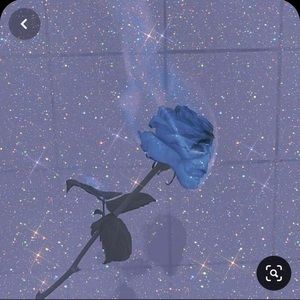 Meet your Posher, Kai